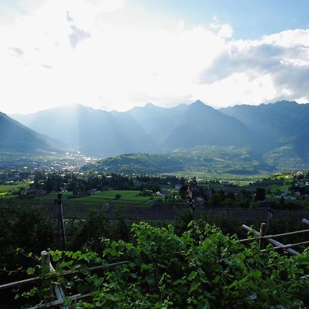 Appartement Schwarzplatterhof à Merano Extérieur photo