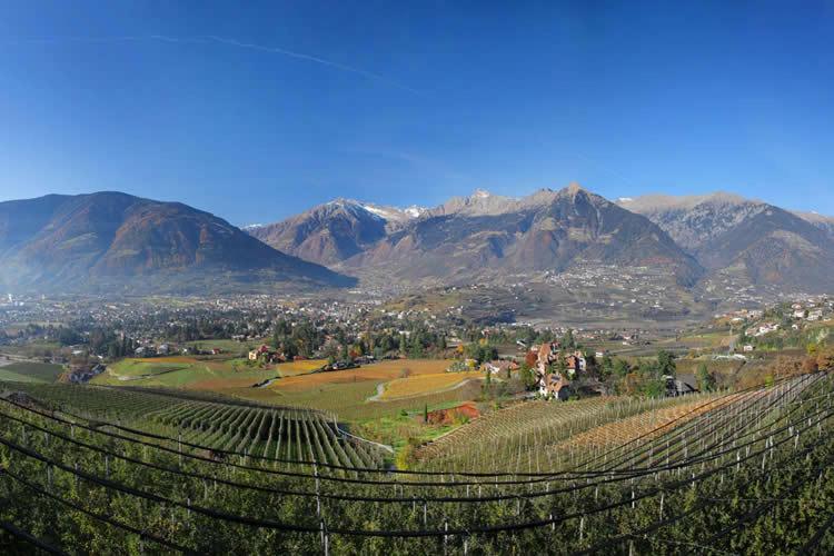 Appartement Schwarzplatterhof à Merano Extérieur photo
